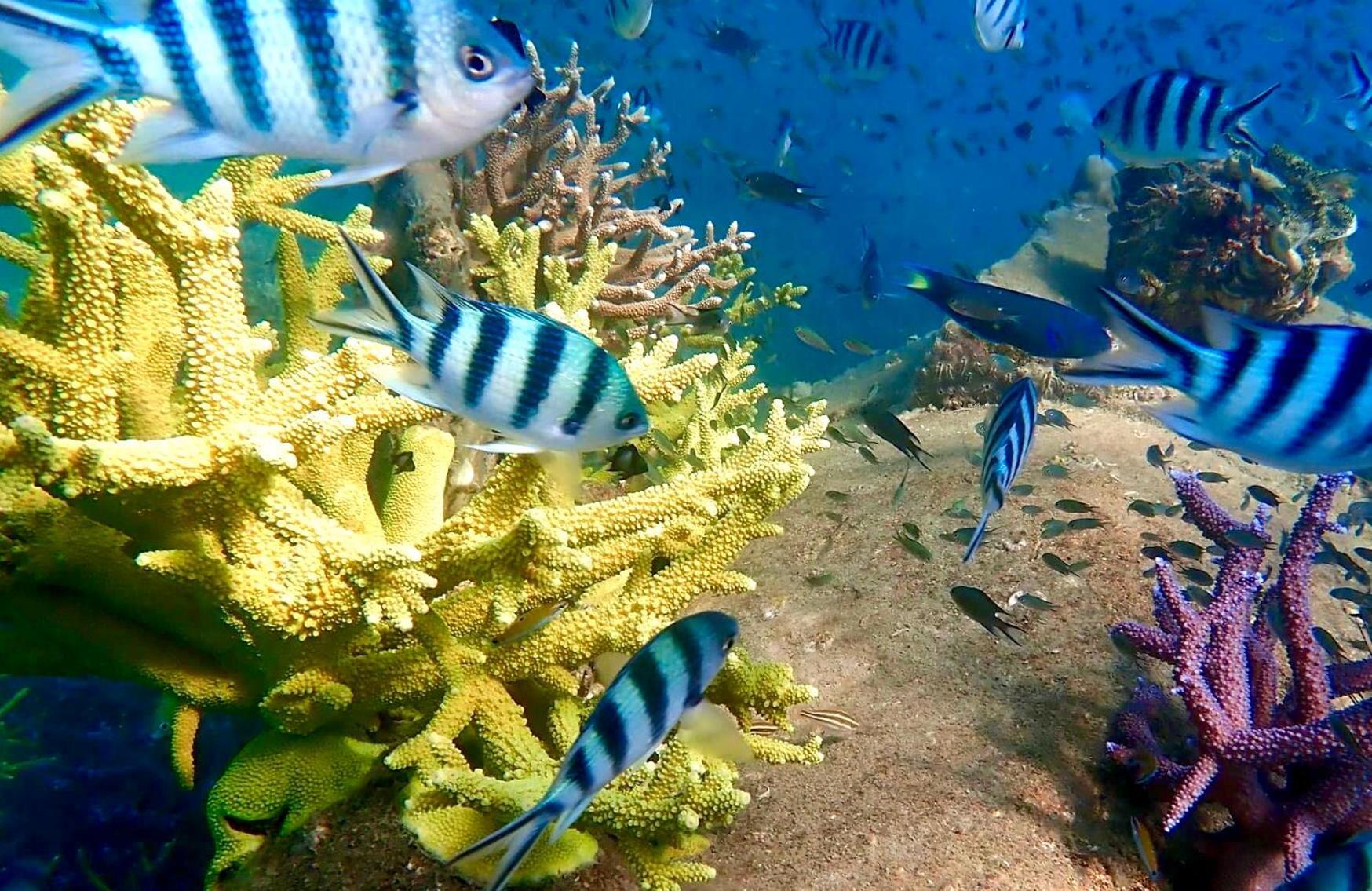 Wave-F Otel Ko Kut Dış mekan fotoğraf